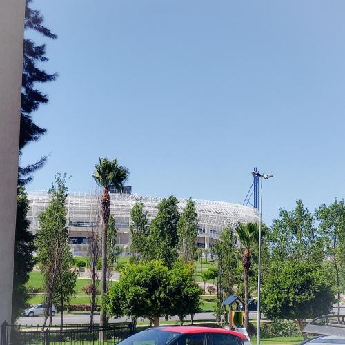 523142690.jpg
