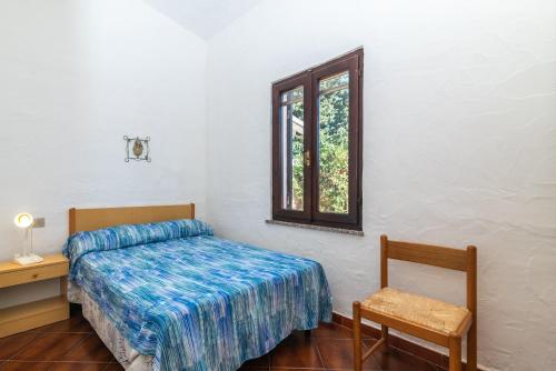 871742382.jpg