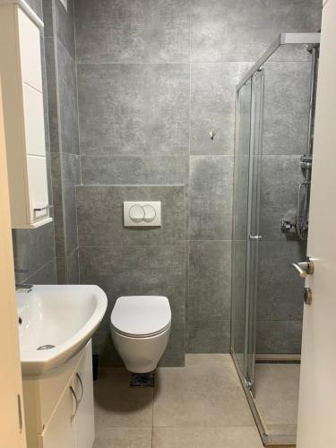 557976565.jpg