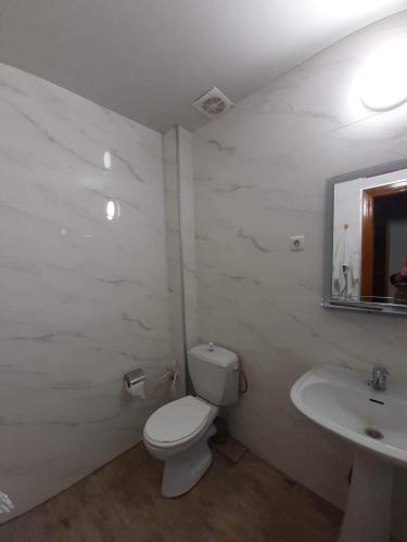 565189099.jpg