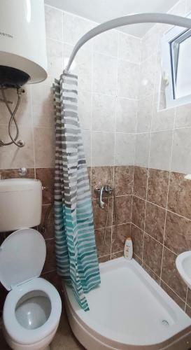 583733436.jpg