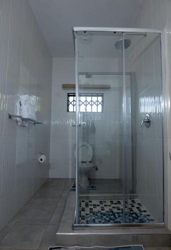 578857430.jpg