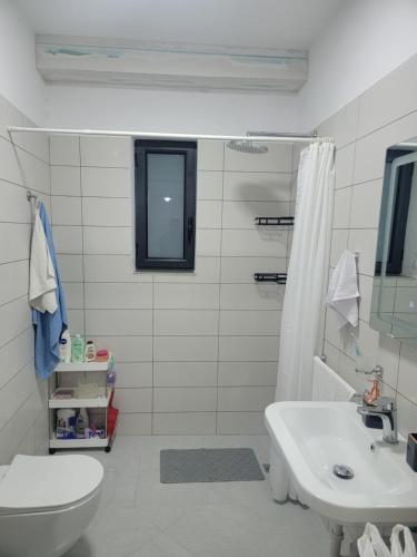 721904964.jpg