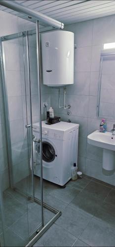 725719677.jpg