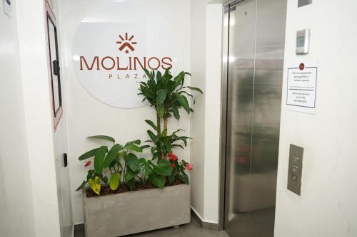 667767120.jpg