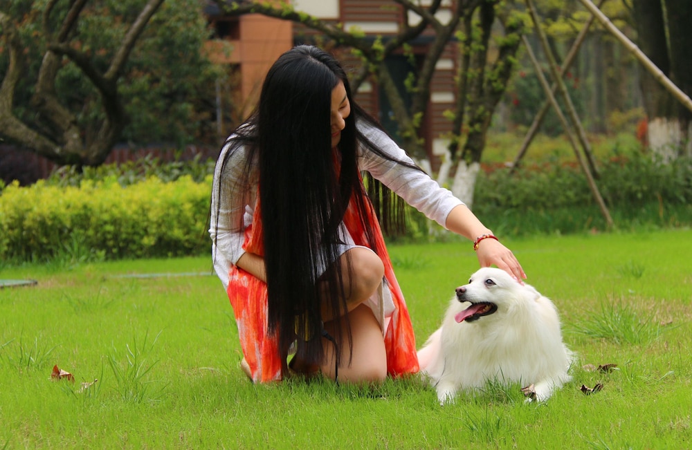 Pet-friendly
