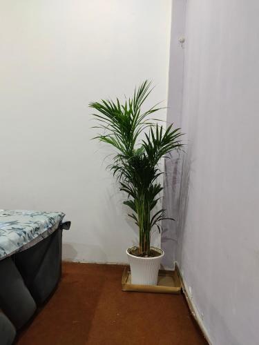 700503761.jpg