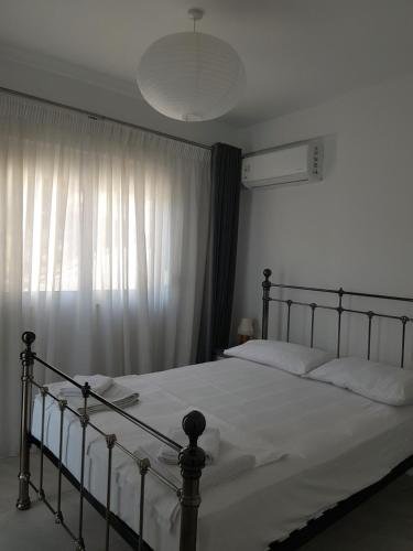 718307901.jpg