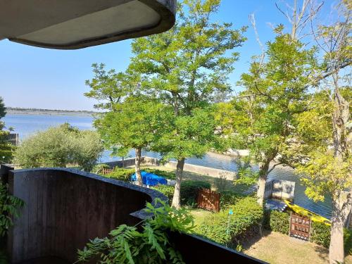 867678275.jpg