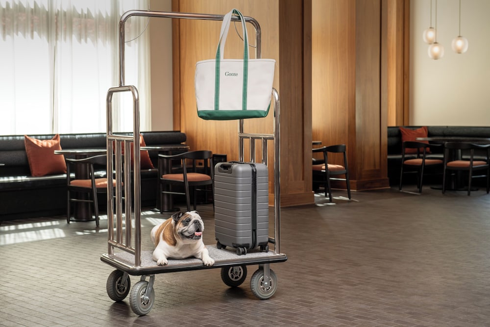 Pet-friendly