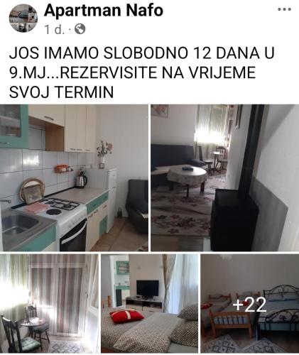 740105296.jpg