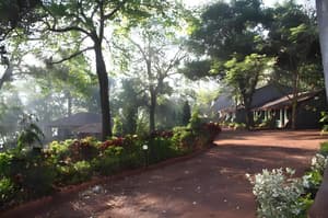 thumbnail: c828398a2869db307dca0868271190e7.jpeg