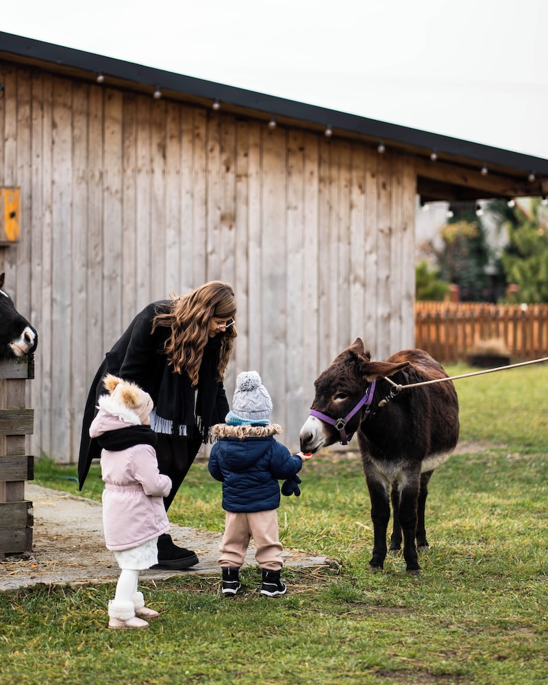 Children's activities