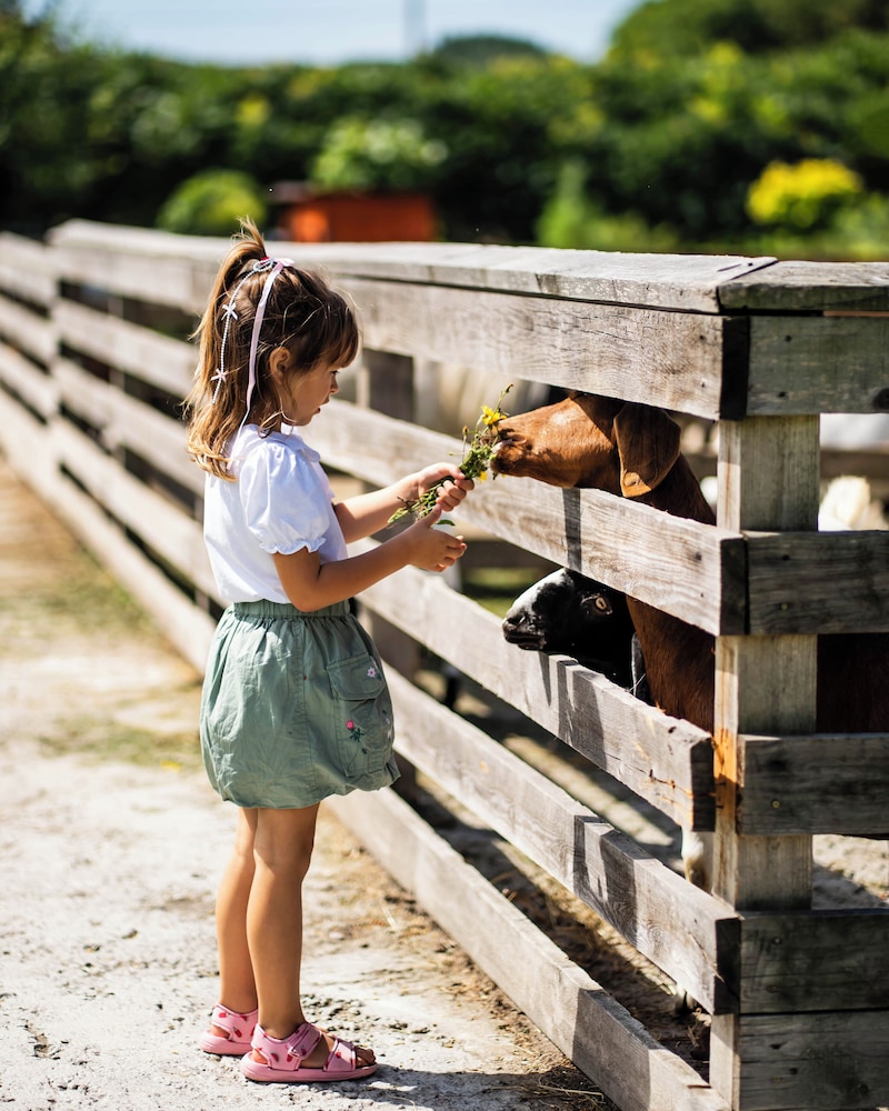 Children's activities