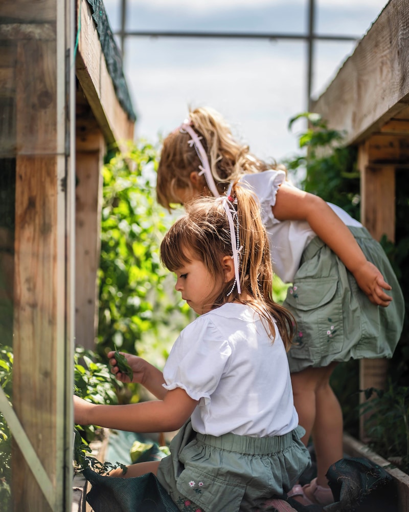 Children's activities