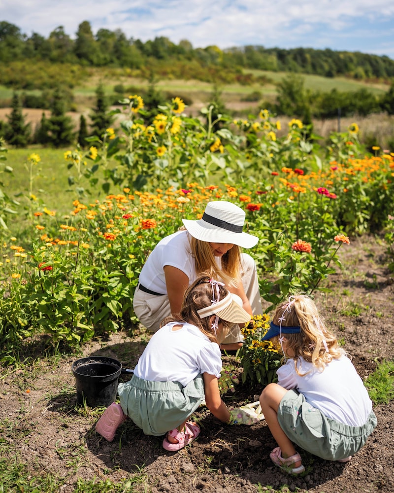 Children's activities