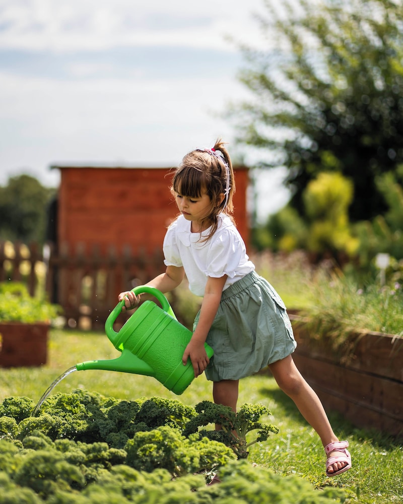 Children's activities