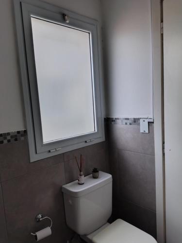 677535741.jpg
