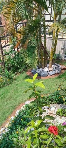 651692344.jpg