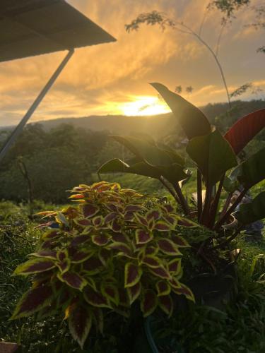 823763786.jpg