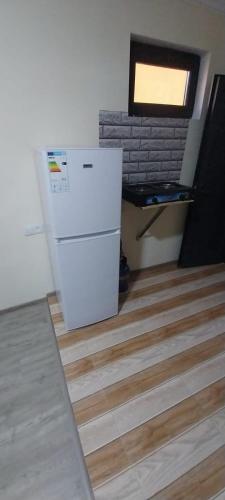 663823817.jpg