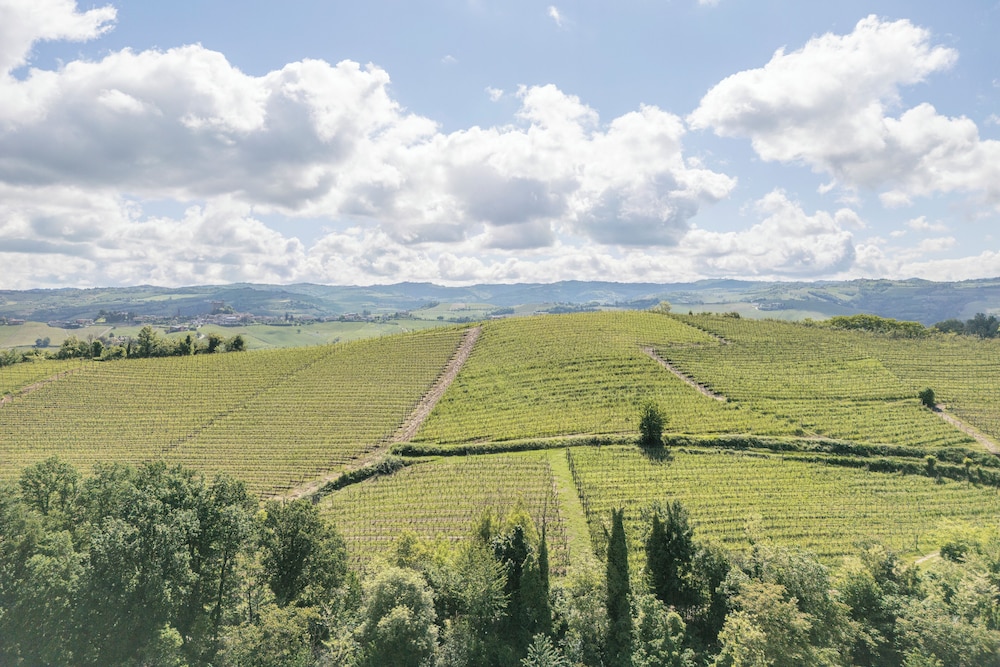 Land view from property