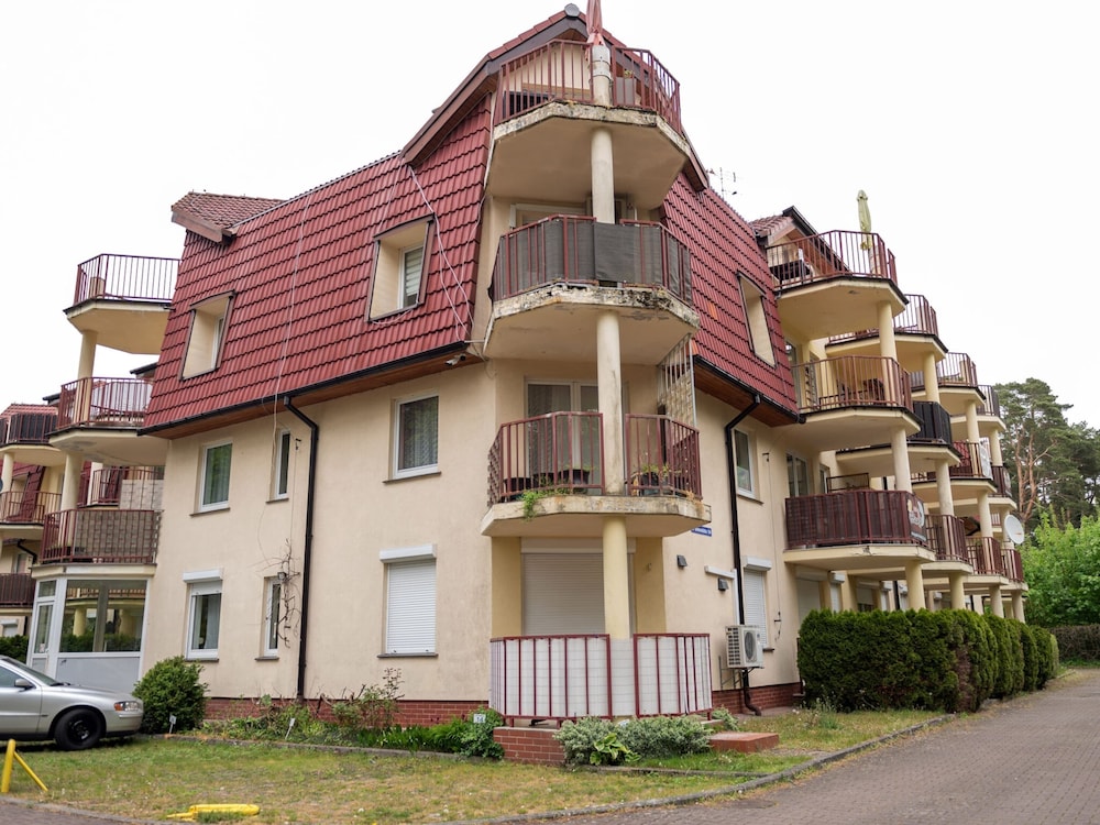 Primary image