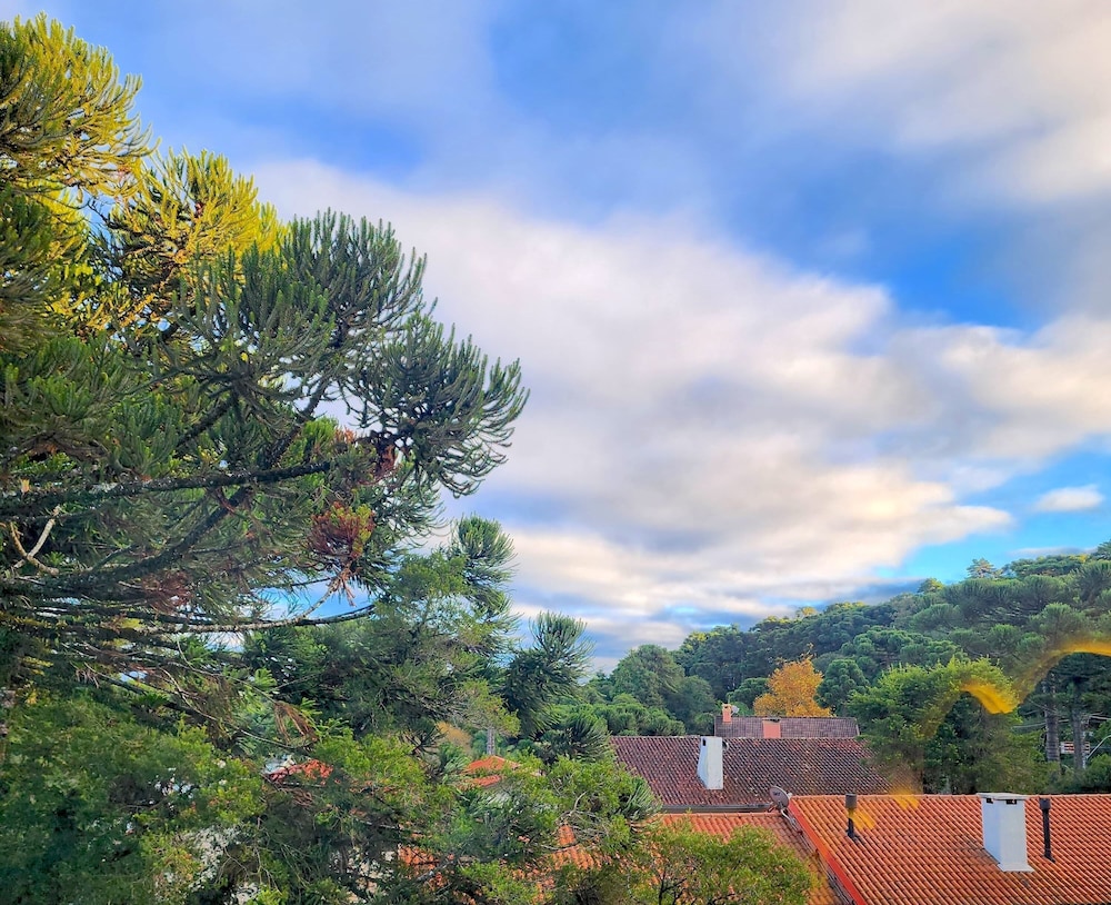 Land view from property