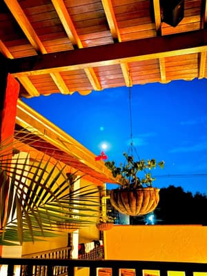 thumbnail: Terrace/patio