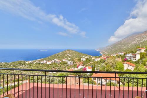 69559272.jpg
