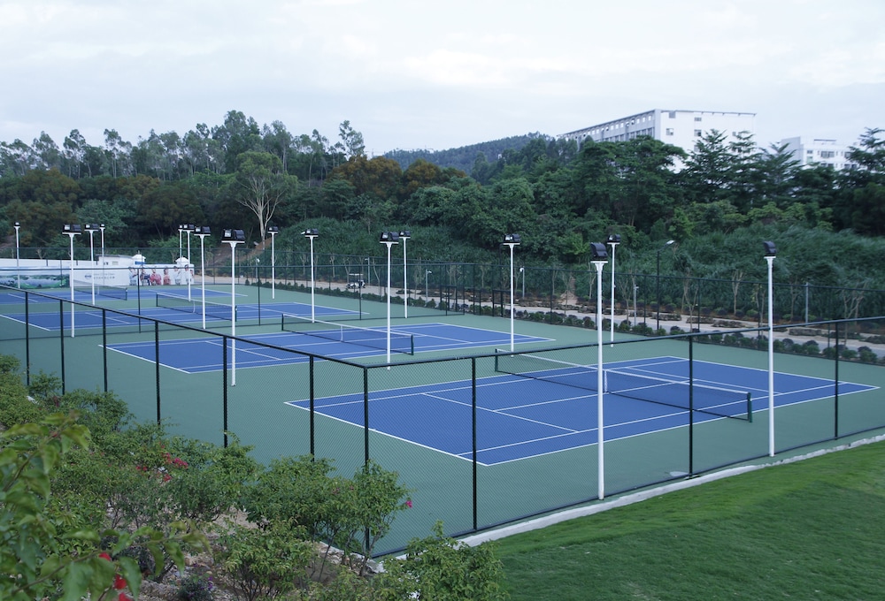 Tennis court