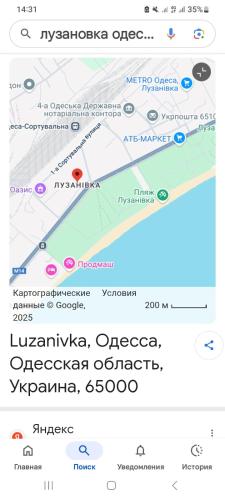 723824785.jpg