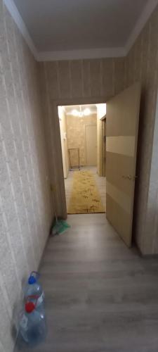 408372533.jpg