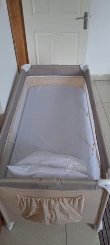 430481991.jpg