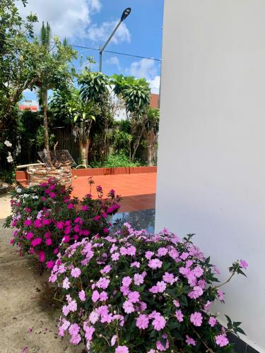 680587451.jpg