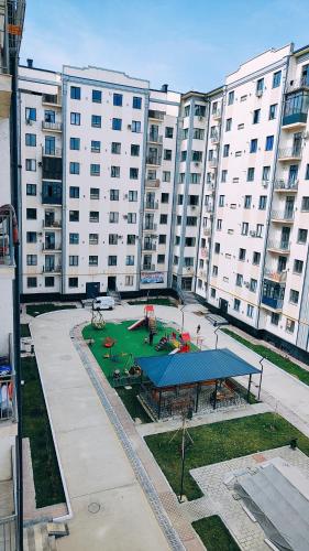 538851687.jpg
