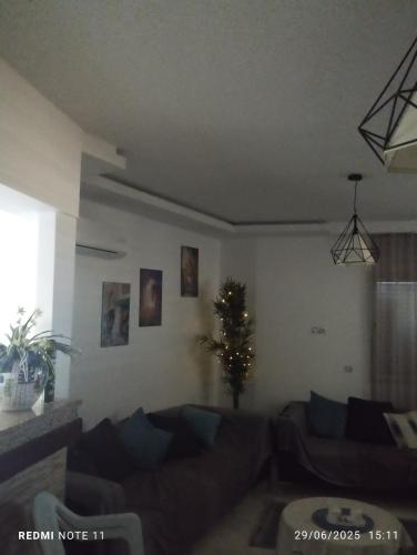 705118181.jpg