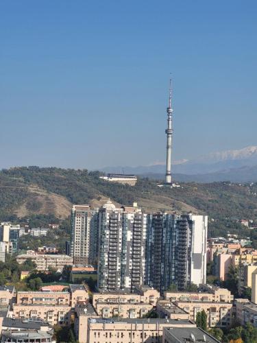 777257668.jpg