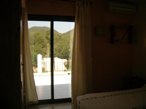 9540732.jpg