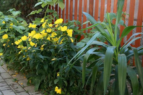 42164403.jpg