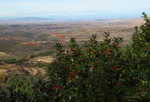 Holiday home Mirador Sierra del Madero