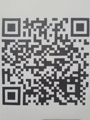 251695054.jpg