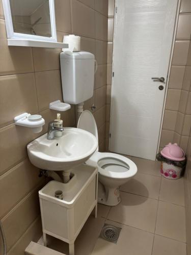 678529312.jpg