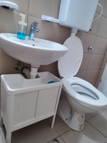 552454727.jpg