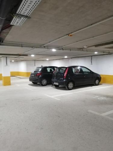 318513009.jpg