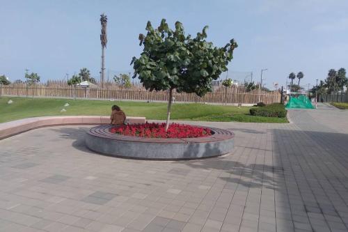 316649570.jpg