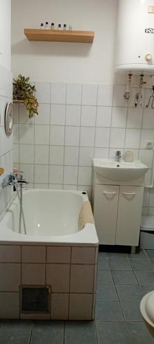 733081053.jpg