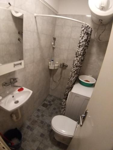 559619859.jpg