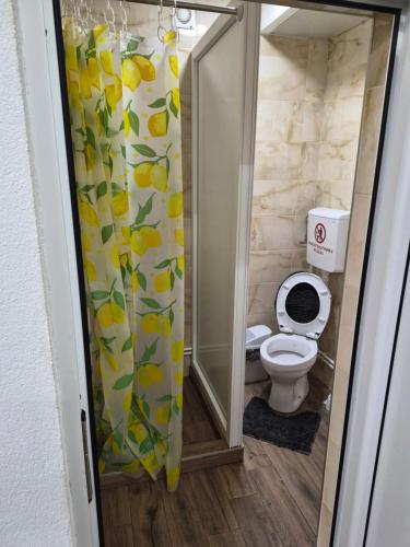 600779056.jpg