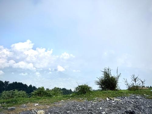 714605491.jpg